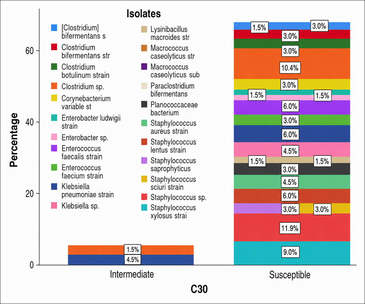 Figure 12