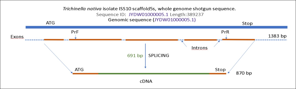 Figure 10