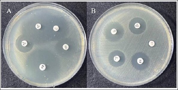 Figure 5