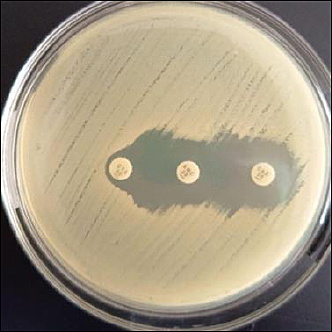 Figure 4